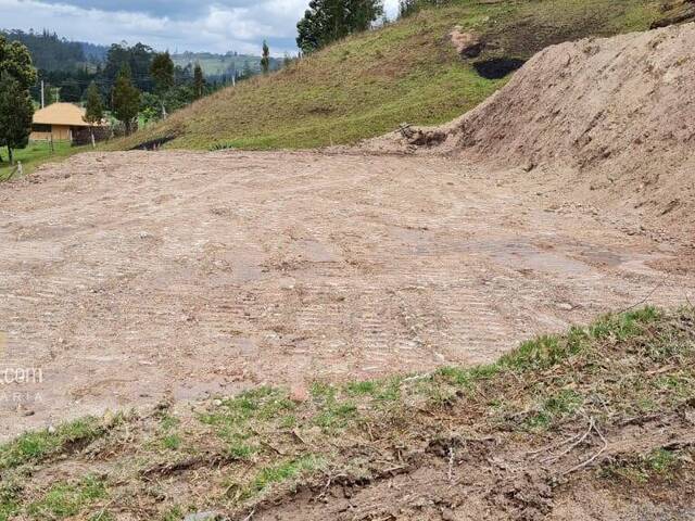 Terreno para Venta en Cuenca - 4