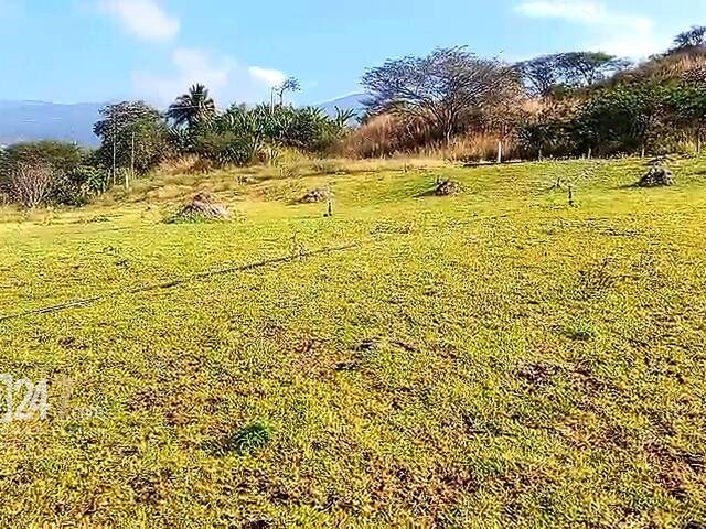 Terreno para Venta en Cuenca - 4