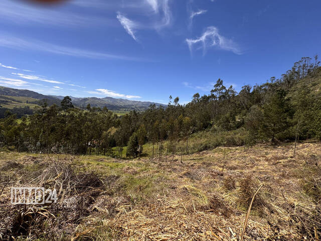 Terreno para Venta en Cuenca - 4